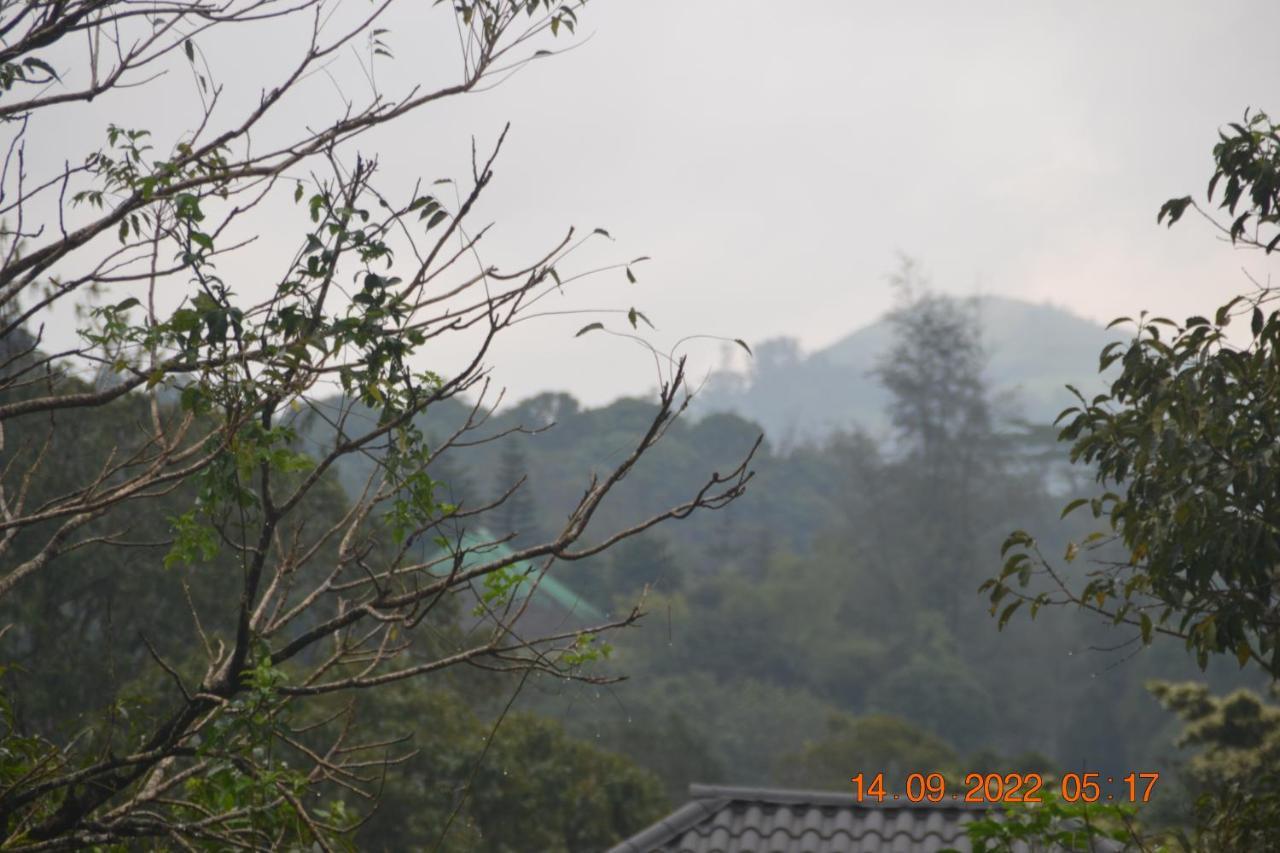 Sharon Valley Vagamon Kültér fotó